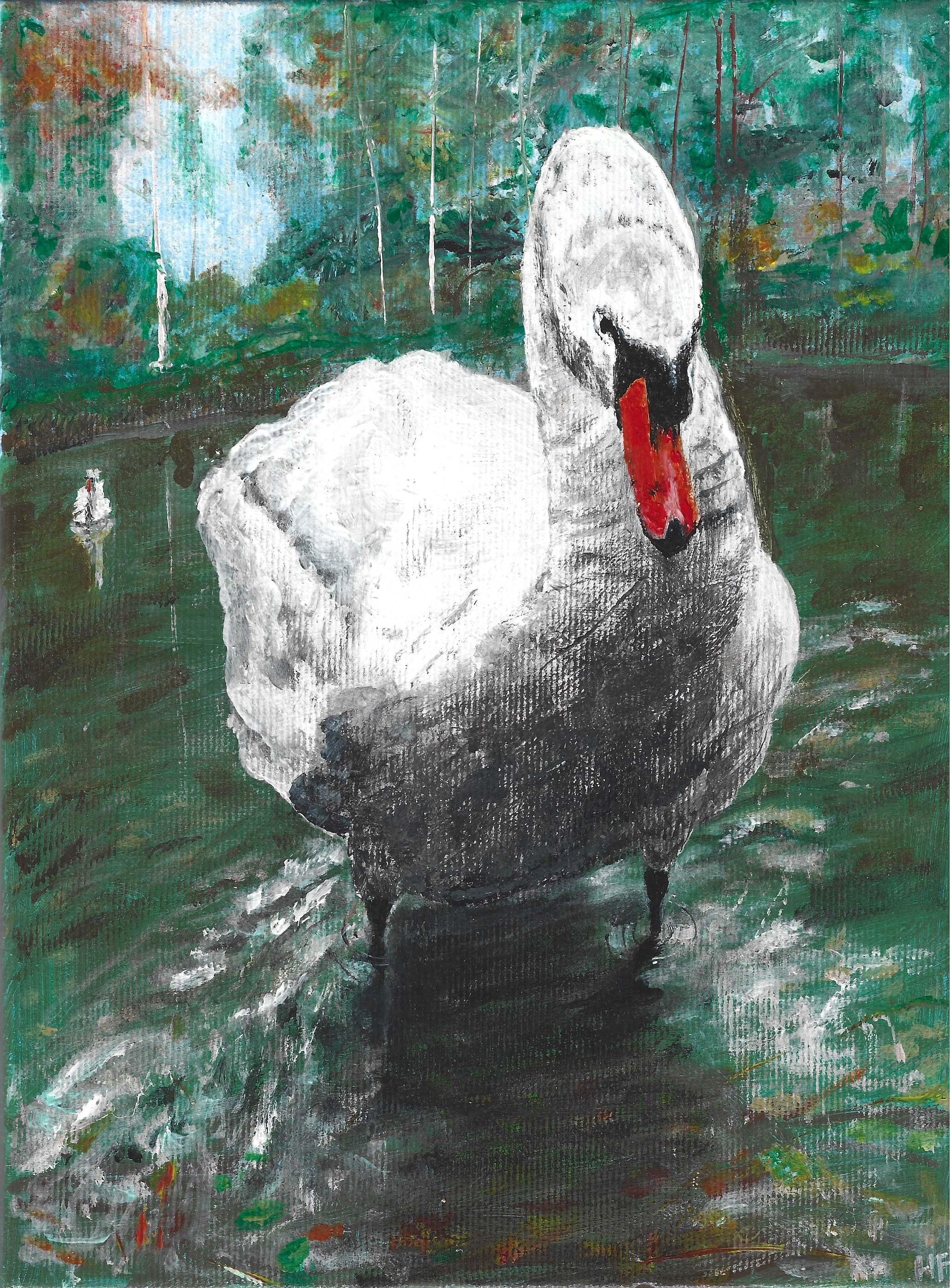 swan